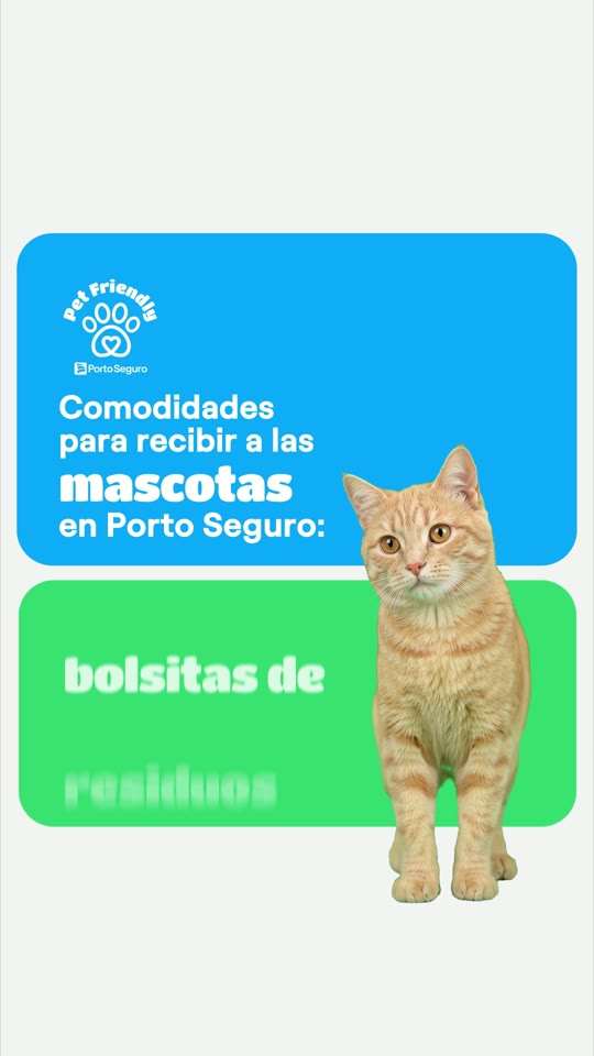 Cuadro del video de Porto Seguro: Pet friendly: comodidades para recibir a las mascotas